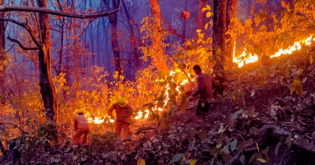 Forest Fires in Uttarakhand