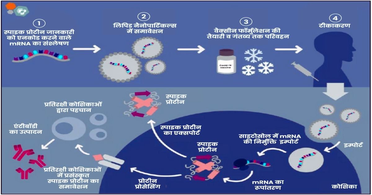 mRNA Vaccine