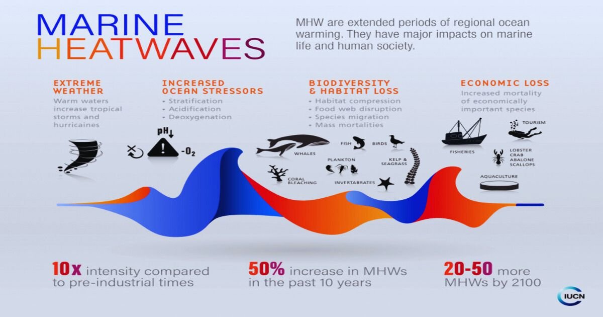 Marine Heatwaves